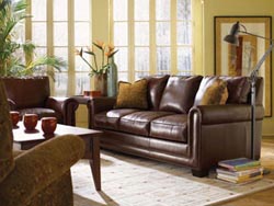 Leather furniture